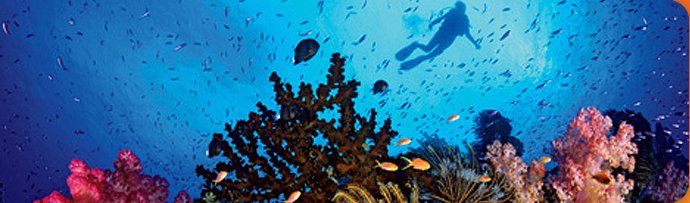Sportif Dive - diving holidays worldwide