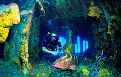 Cayman Islands Scuba Diving Holiday. Cayman Brac - Captain Keith Tibbett Wreck.