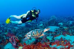 St Lucia scuba diving school with instruction and lessons