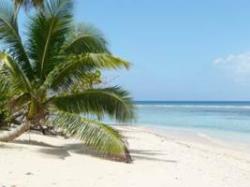 Boutique Caribbean Dive Hotel Boutique Caribbean Dive Hotel