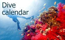 dive calendar