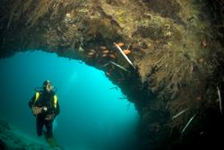 Cape Verdes Diving Sites Cape Verdes Diving Sites
