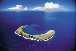 Hawaii scuba diving holiday.