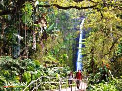 Hawaii scuba diving holiday. Big Island Akaka Falls.