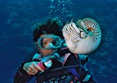 Palau Scuba Diving Holiday. Nautilus.