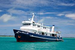 Palau Scuba Diving Holiday. Ocean Hunter III Liveaboard.