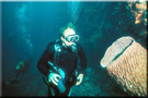 Kenya scuba diving holiday 