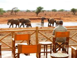 Waterhole with Elephants