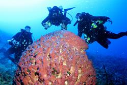 Cayman Islands Scuba Diving Holiday. Divers.