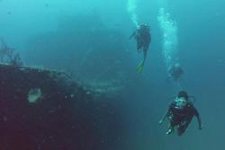 Tobago - Caribbean. Maverick Wreck.