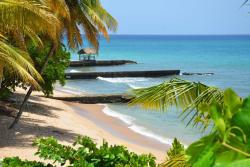 Tobago - Caribbean. Store Bay.