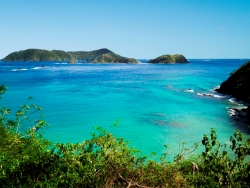 Little Tobago Island - Speyside, North Tobago.