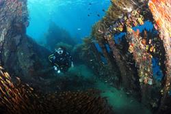 Scuba Diving Holiday, Bali - Indonesia. 