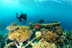 Scuba Diving Holiday, Bali - Indonesia. 