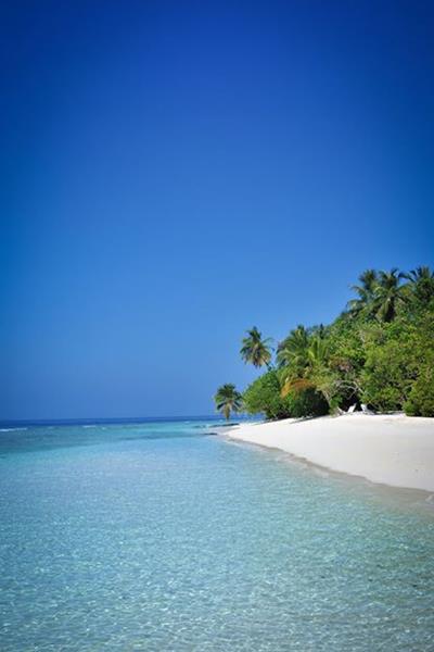 Luxury 4 Bandos Island Maldives Sportif Dive Holidays