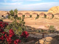 El Quseir Dive Club