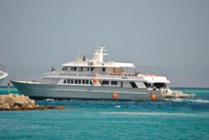 Red Sea Liveaboards.