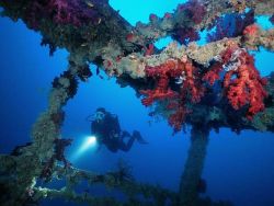 Red Sea - reef and wreck diving.