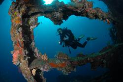 Guide to Diving in Bali