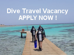 NEW Dive Travel Job Consultant Vacancy NEW Dive Travel Job Consultant Vacancy